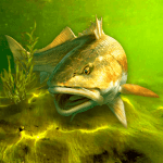 My Fishing World Icon